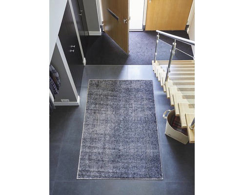 Szene mit einem rechteckigen Teppich im Eingangsbereich eines Hauses.