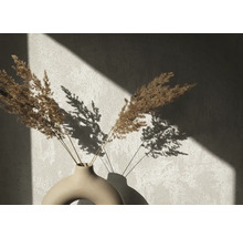 Dekorative getrocknete Blumen in einer Vase mit Schattenwurf an der Wand