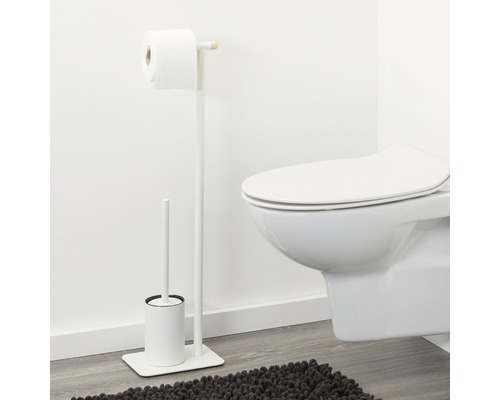 Scène de salle de bains avec un porte-brosse de toilette et un dérouleur de papier toilette à côté de toilettes