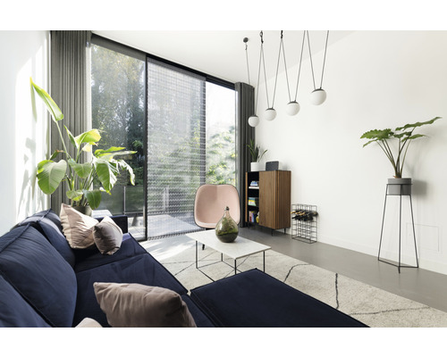 Salon avec canapé, tapis, table d''appoint, armoire, chaise et plantes d''intérieur dans un design lumineux