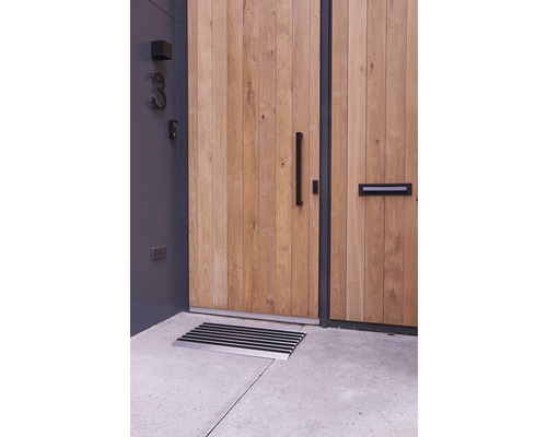 Zone d''entrée avec porte en bois et paillasson