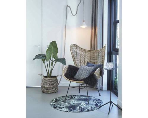 Scène de salon avec fauteuil en rotin, plante dans un panier, tapis et lampadaire