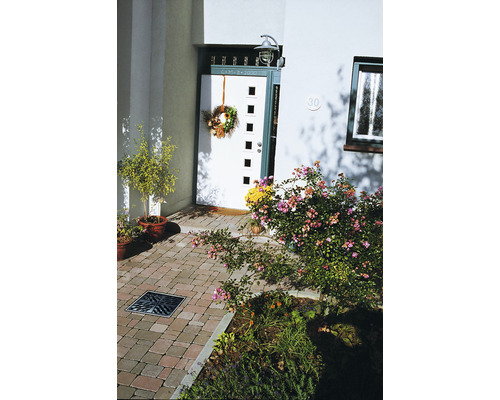 Eingangsbereich eines Hauses mit Tür, Pflanzen und Pflastersteinen