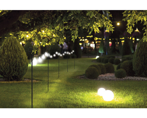 Jardin illuminé avec pelouse, buissons, arbre et guirlande lumineuse.