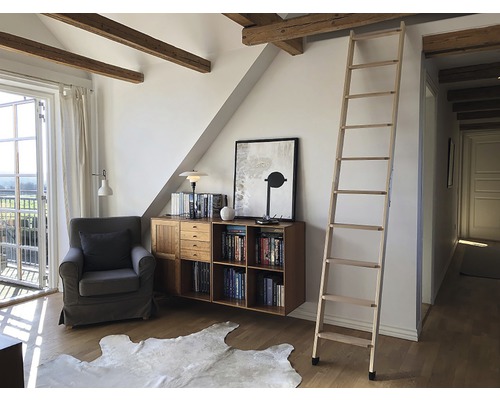 Salon avec bibliothèque, fauteuil et échelle en bois