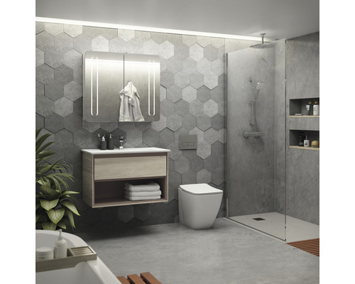 Badezimmer mit Waschtisch, Spiegelschrank, Toilette und Dusche