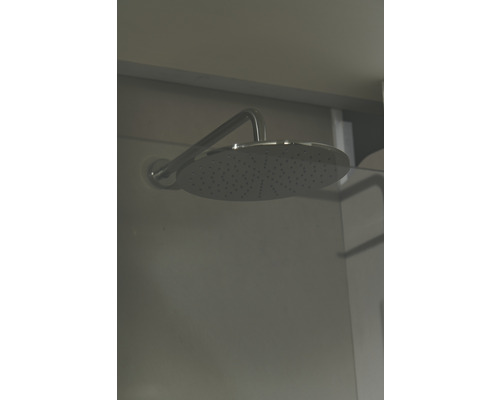 Duschkopf mit Brausearm