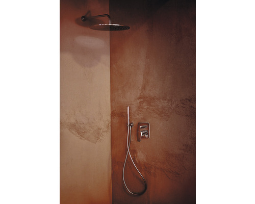 Douche avec pomme de tête, douchette à main et robinetterie dans la salle de bain