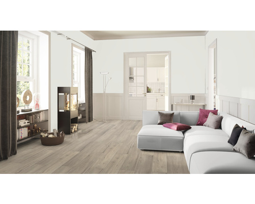 Espace de vie lumineux avec plancher en bois, canapé, cheminée et bibliothèque