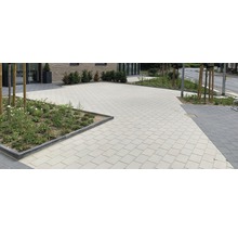 Surface pavée avec des dalles en béton et des parterres