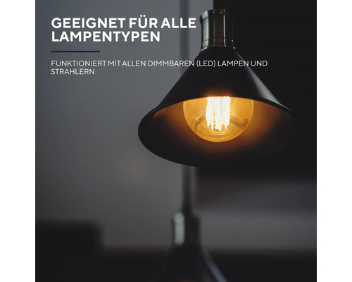 Lampe geeignet für alle Lampentypen