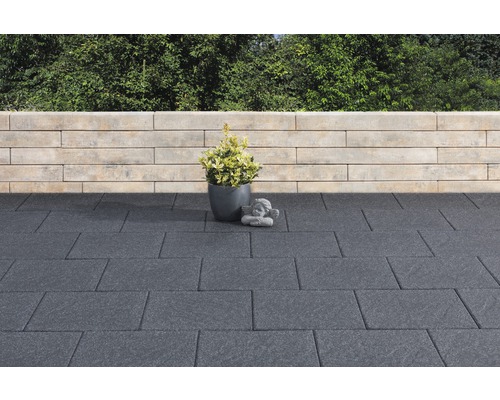 Terrasse mit Pflastersteinen, Pflanze im Topf und Mauer