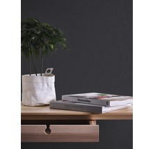 Zimmerpflanze in Papiertüte auf einem Holztisch mit Schublade und Büchern