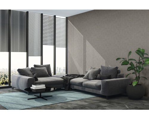 Wohnzimmer mit grauer Eckcouch, Jalousien und Zimmerpflanze