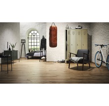 Wohnraum mit Holzboden, Boxsack, Spind und Bett