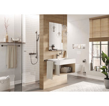 Ensemble brosse WC Lenz SIVO graphite mat 4209652