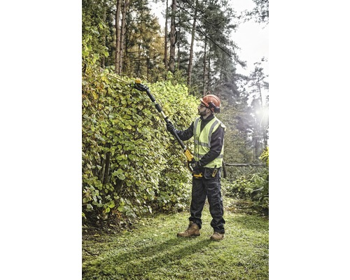 Un homme taille une haie avec un taille-haie sans fil dans le jardin.