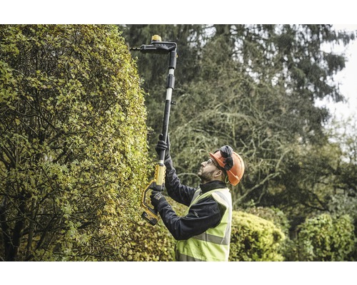 Un homme taille une haie avec un taille-haie sur perche sans fil.