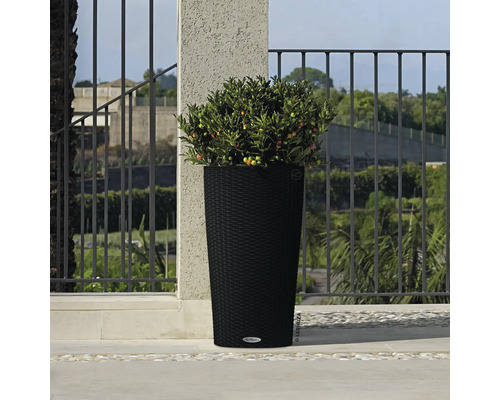 Hoher, geflochtener Pflanzkübel mit Bepflanzung im Aussenbereich.