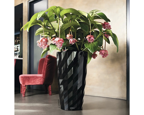 Pot de fleurs Lechuza noir avec plante et fauteuil rouge