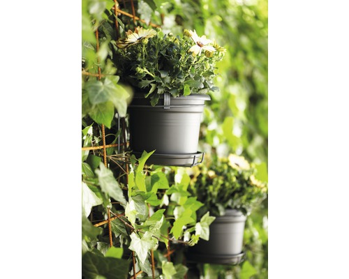 Fleurs en pots fixées à un treillis pour plantes.