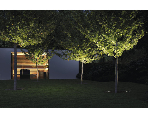 Beleuchtete Bäume in einem Garten bei Nacht mit einem Gebäude im Hintergrund