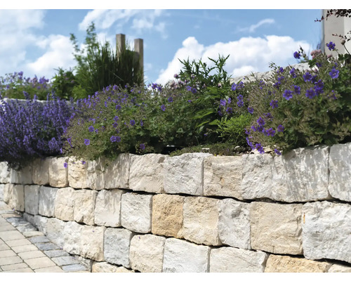 Eine Gartenmauer aus Natursteinen mit Bepflanzung