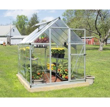 Serre Palram – Canopia Hybrid 6x8 avec rayonnage pour charges lourdes et fondation 185 x 247 cm argent
