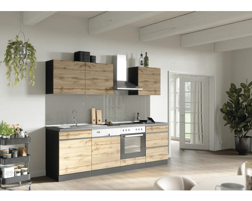 Held Möbel Küchenzeile mit Geräten PISA 240 cm Frontfarbe wildeiche matt  Korpusfarbe graphit zerlegt - HORNBACH Luxemburg