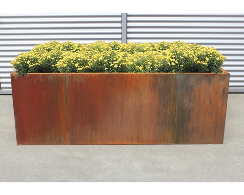 Jardinière surélevée classique palatino Urban 300 x 100 x 70 cm acier Corten