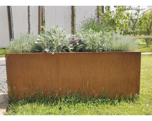 Jardinière haute et rectangulaire en métal avec des plantes sur une pelouse