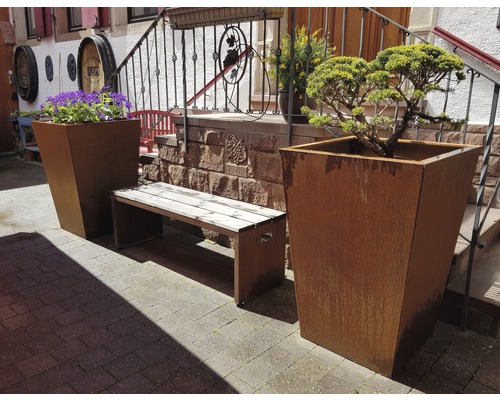 Aussenbereich mit Pflanzkübeln, Blumen und einer Bank