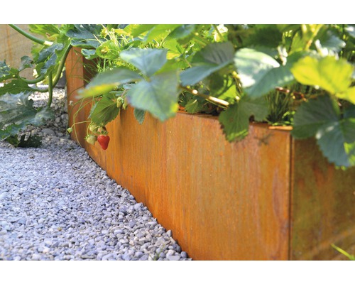 Carré potager Corten 150X150CM HAUT. 24 CM