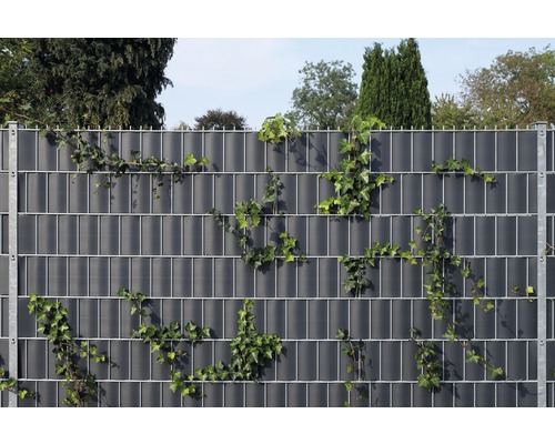 Clôture de confidentialité avec lierre