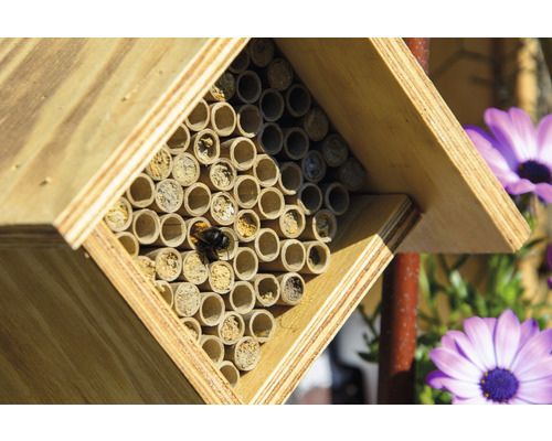 Insektenhotel aus Holz mit Röhren und einer Holzbienen