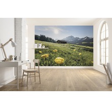 Fototapete Vlies SHX8-003 Alpenglück 8-tlg. 400 x 280 cm