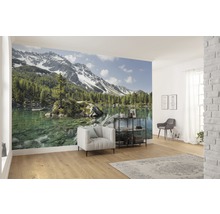 Fototapete Vlies SHX9-008 Bergmagie 9-tlg. 450 x 280 cm