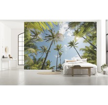 Fototapete Vlies SHX9-108 Coconut Heaven  9-tlg. 450 x 280 cm