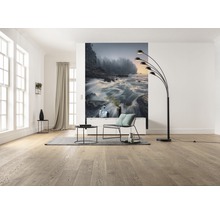 Heller Wohnraum mit Holzboden, Fototapete mit Flussmotiv und schwarzer Bogenlampe.