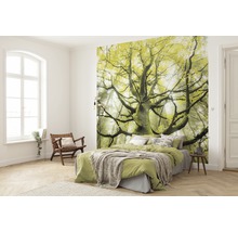 Schlafzimmer mit Fototapete mit Baum-Motiv, Bett und Holzstuhl