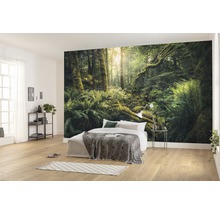 Papier peint panoramique intissé SHX9-028 Elves Cathedral 9 pces 450 x 280 cm