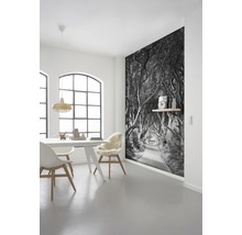 Salle à manger lumineuse avec table, chaises et un papier peint photo avec une allée d''arbres