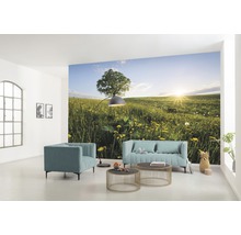 Wohnzimmer mit Fototapete einer Wiese mit Baum