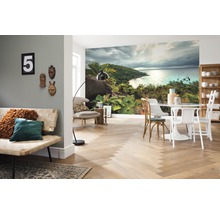 Wohnzimmer mit Fototapete einer tropischen Insel, einem Sofa, einem Tisch und Stühlen.
