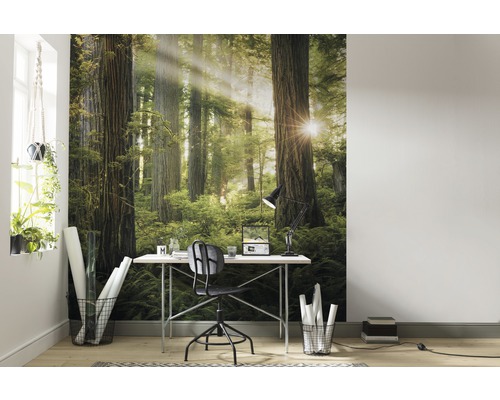 Bureau avec papier peint forêt, bureau et chaise de bureau