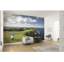 Papier peint panoramique intissé SHX9-040 Green Ireland 9 pces 450 x 280 cm