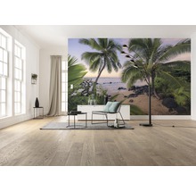 Papier peint panoramique intissé SHX8-042 Wanderlust Bonjour Islande 8 pces 400 x 250 cm