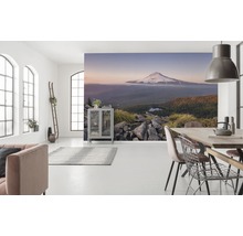 Salon lumineux avec papier peint photo d''une montagne