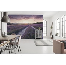 Salon lumineux avec une peinture murale d''un champ de lavande au coucher du soleil, une table à manger et un canapé