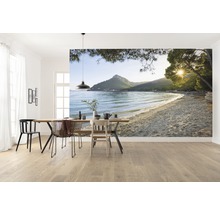 Pièce avec papier peint photo d''un paysage côtier avec plage
